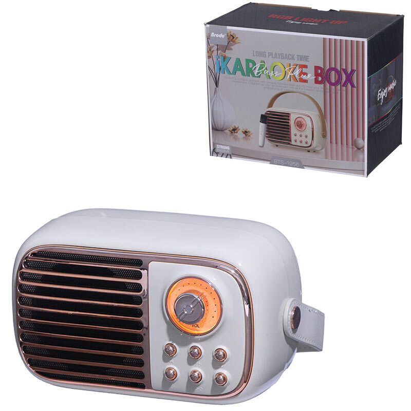 اسپیکر بلوتوثی برودو BTS-1956 + میکروفون_6940df800f411.jpeg