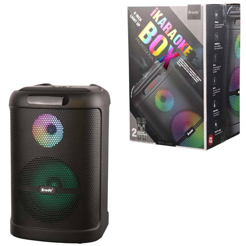 اسپیکر بلوتوثی برودو BTS-2101 + میکروفون_69315d6c371f0.jpeg