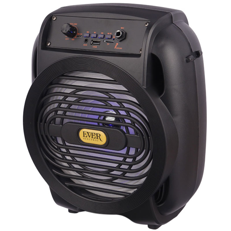 اسپیکر بلوتوثی رم و فلش خور Ever Electric Ever-820_6932efc8a0fce.jpeg