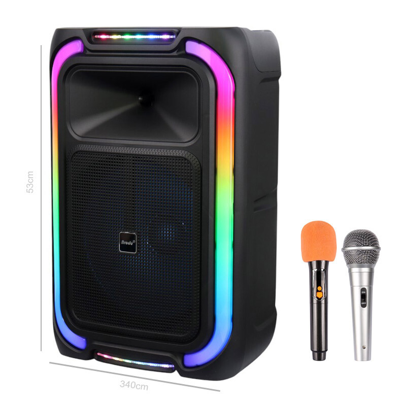 اسپیکر چمدانی بلوتوثی برودو BTS-1890 + میکروفون_692f8022a1dd0.jpeg