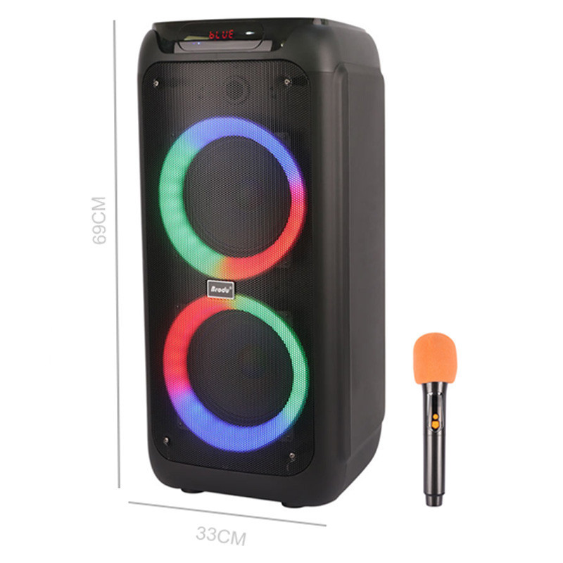 اسپیکر چمدانی بلوتوثی برودو BTS-2173 + میکروفون_69315233b7c60.jpeg