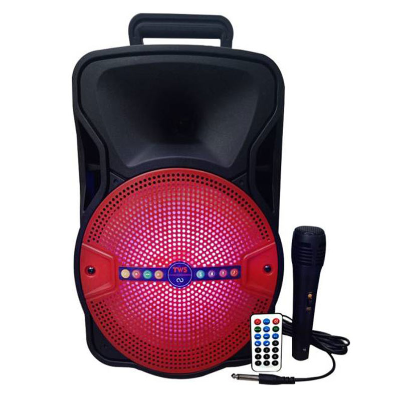 اسپیکر چمدانی بلوتوثی رم و فلش خور ALP-801 + میکروفون و ریموت کنترل_6933583a30695.jpeg