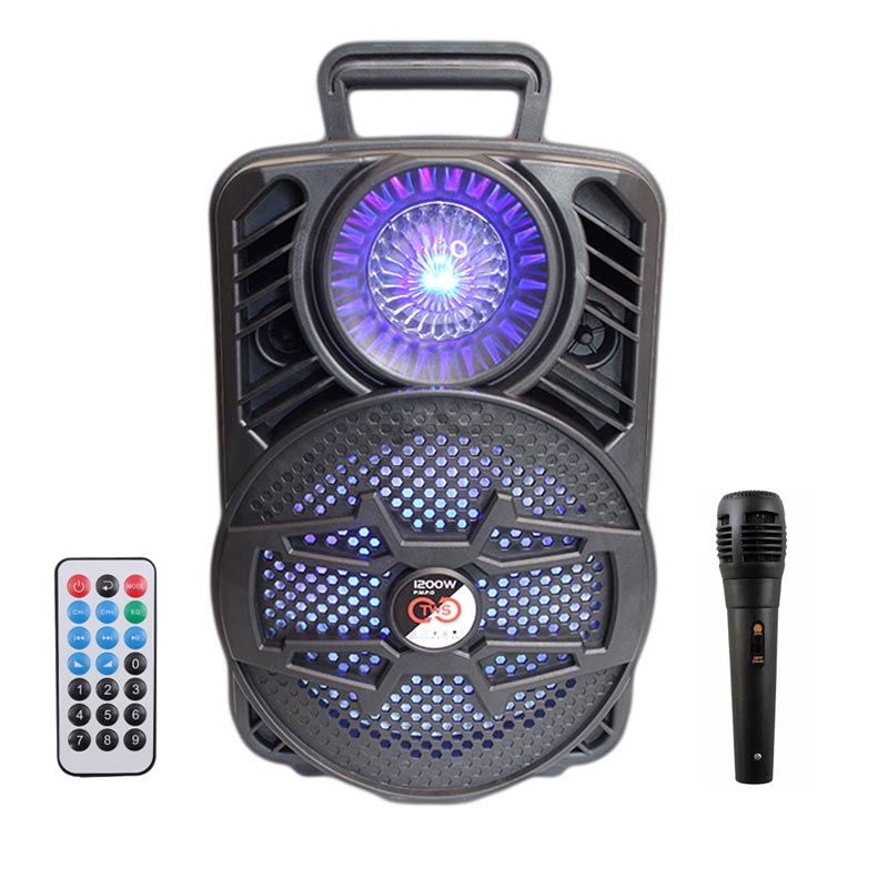 اسپیکر چمدانی بلوتوثی رم و فلش خور ALP-806 + میکروفون و ریموت کنترل_69335815c0961.jpeg