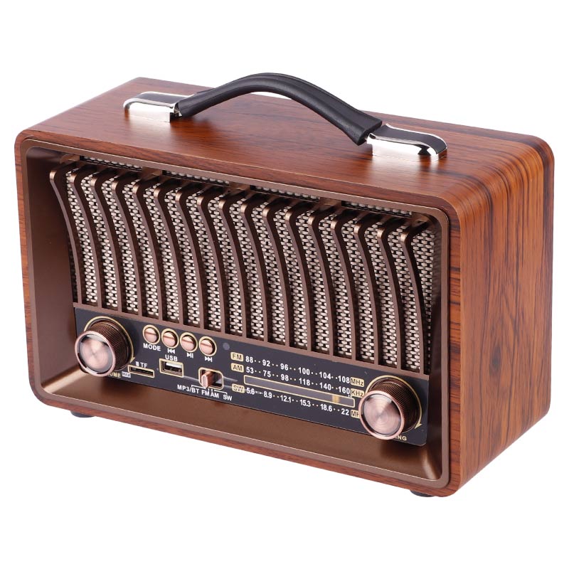 رادیو اسپیکر بلوتوثی رم و فلش خور Raiseng R-1918BT