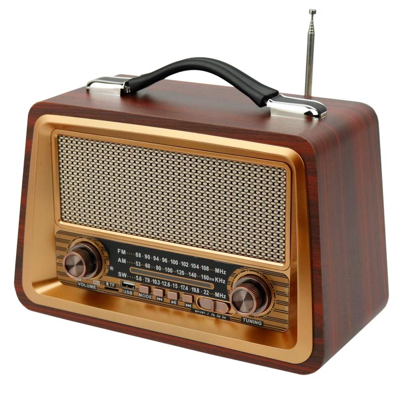 رادیو اسپیکر بلوتوثی رم و فلش خور Raiseng R-2066BT