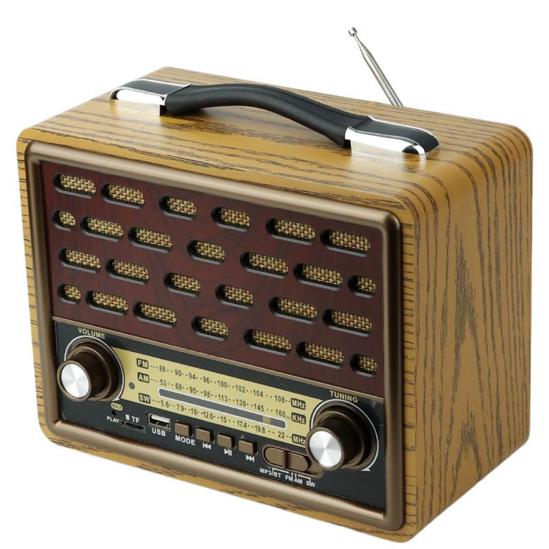 رادیو اسپیکر بلوتوثی رم و فلش خور Raiseng R-2088BT