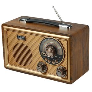 رادیو اسپیکر بلوتوثی رم و فلش خور Raiseng R-9022BT_6933270b26b47.jpeg رادیو اسپیکر بلوتوثی رم و فلش خور Raiseng R-9022BT