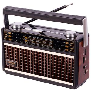 رادیو اسپیکر بلوتوثی مییر M-1926BT_6933008638925.jpeg رادیو اسپیکر بلوتوثی مییر M-1926BT