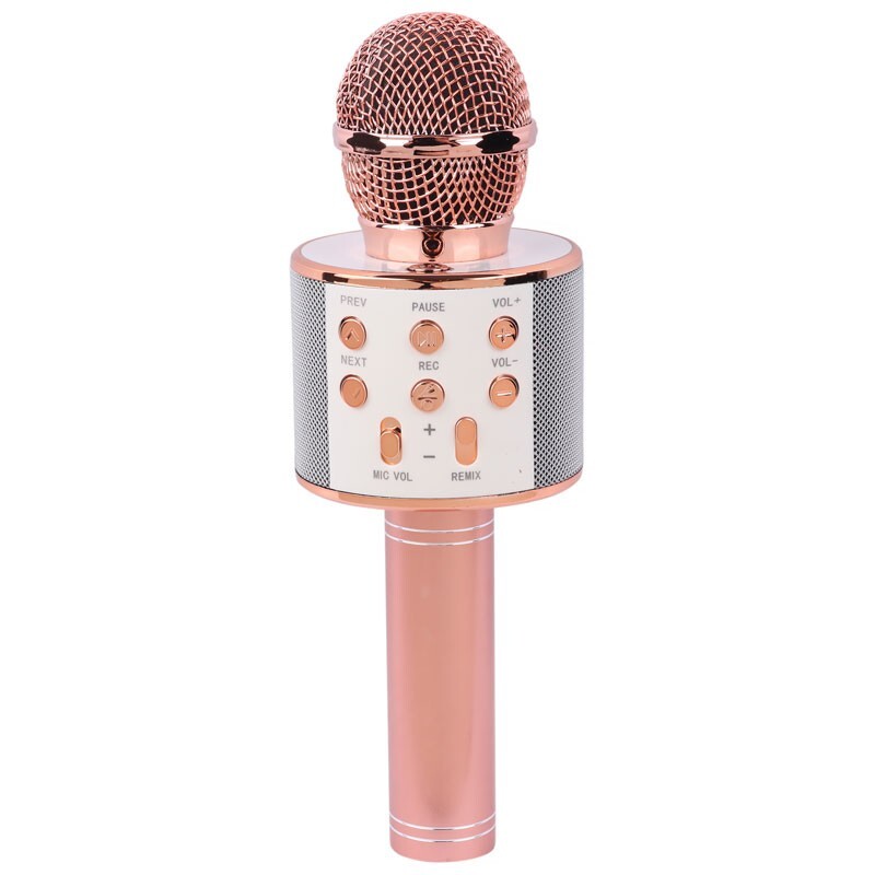 میکروفون اسپیکر سینگ ای ZQS858