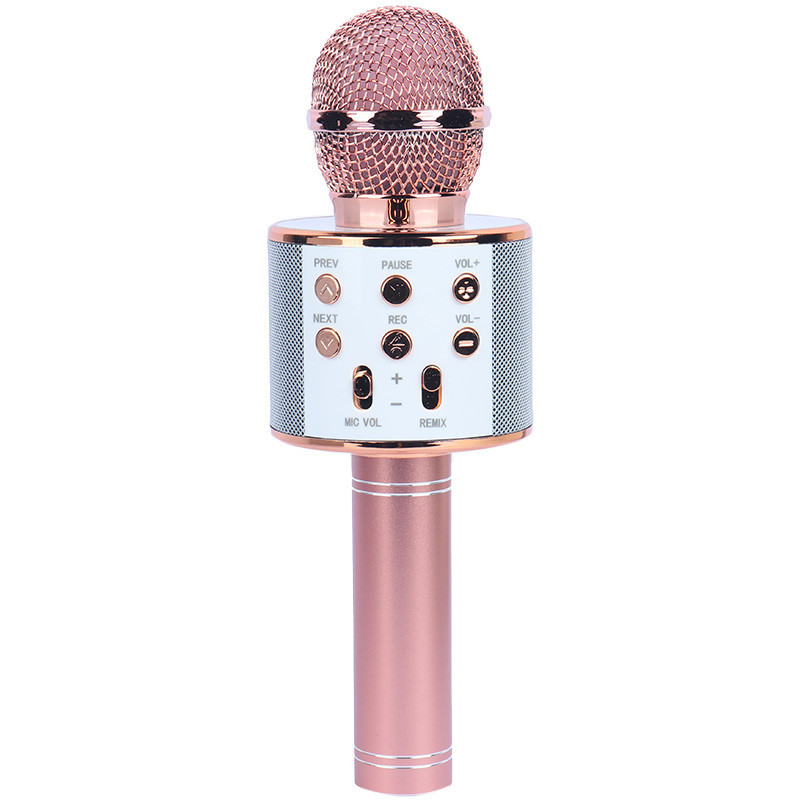 میکروفون اسپیکر گودفری WS-858L